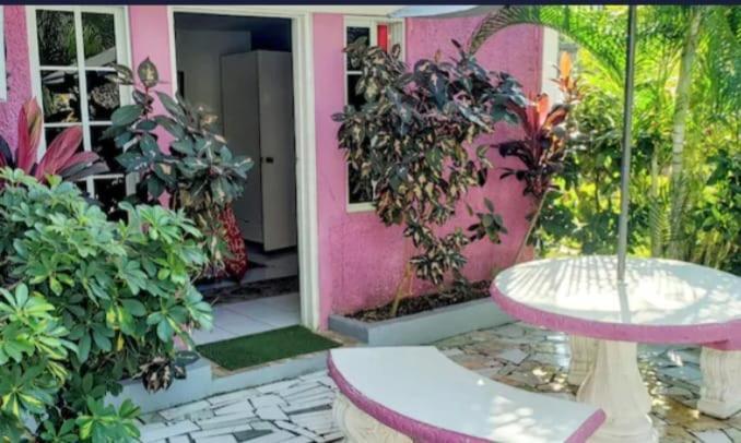 Pink Hibiscus Bed And Breakfast Montego Bay Extérieur photo
