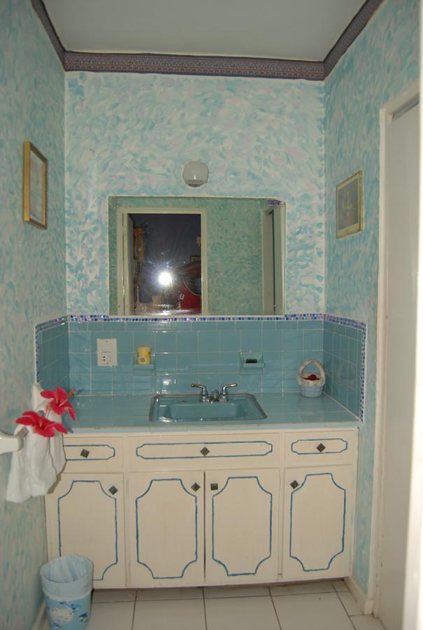 Pink Hibiscus Bed And Breakfast Montego Bay Extérieur photo